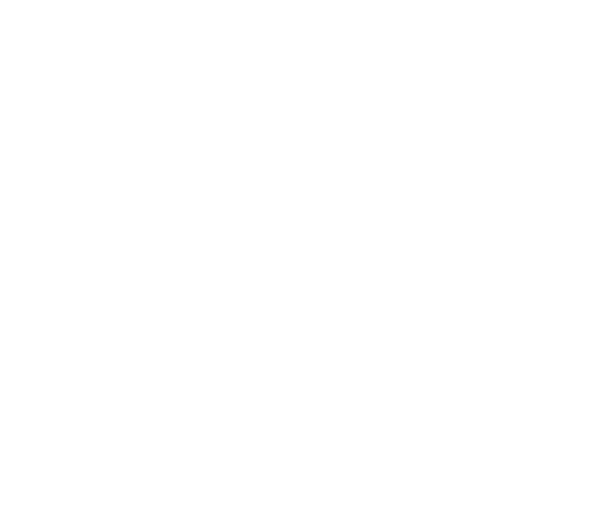 Caddy Flotas